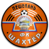 logo Shakhter Peshelan