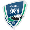 logo Anadolu Selçukluspor