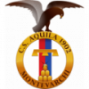 logo Montevarchi