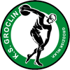 logo Dyskobolia Grodzisk