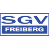 logo Freiberg