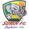 logo Surin