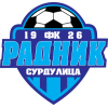 logo Radnik Surdulica