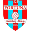 logo Fortuna Skopje
