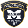 logo Mariano Santos