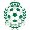 logo Dessel Sport