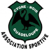 logo Cygne Noir