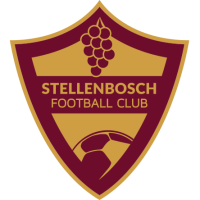 logo Stellenbosch