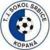 logo Sokol Srbice