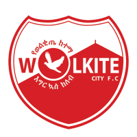 logo Wolkite City