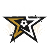 logo Palm Beach Stars