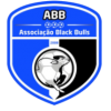 logo Black Bulls