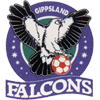 logo Morwell Falcons
