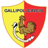 logo Gallipoli