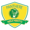 logo Panthère Bangangté