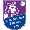 logo Eintracht Bamberg