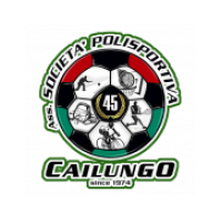 logo Cailungo