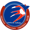logo Mbabane Swallows