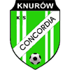 logo Gornik Knurow