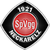 logo Neckarelz