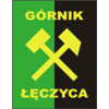 logo Gornik Leczyca