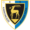 logo Karkonosze Jelenia Gora