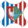 logo Wisla Sandomierz