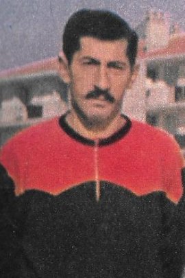Alberto Muro 1965-1966