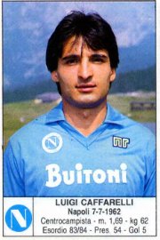 Luigi Caffarelli 1983-1984