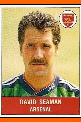 David Seaman 1990-1991