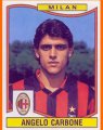 Angelo Carbone 1990-1991