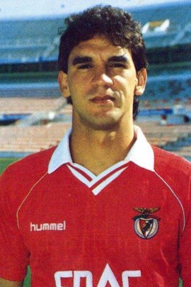  Ricardo Gomes 1990-1991