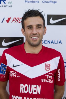 Pierre Vignaud 2012-2013