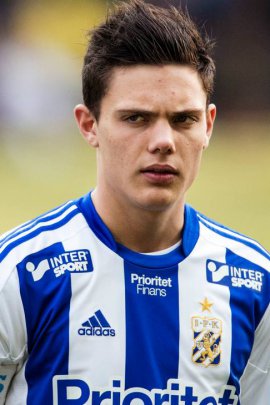 David Moberg-Karlsson 2012-2013