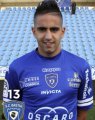 Ryad Boudebouz 2013-2014