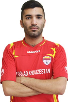 Mohsen Mosalman 2013-2014