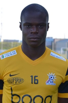 Cédric Mensah 2014-2015
