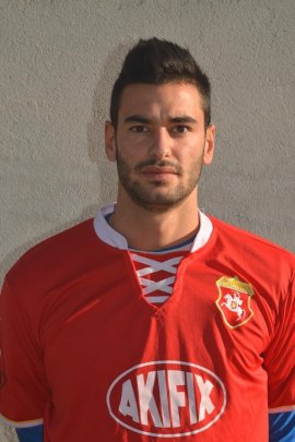 Luca Cognigni 2014-2015