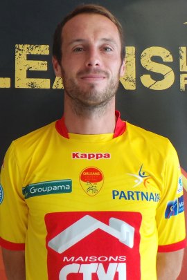 Julien Delonglée 2015-2016