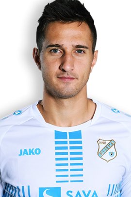 Mario Gavranovic 2015-2016