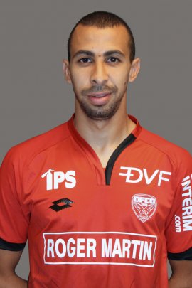 Fouad Chafik 2016-2017