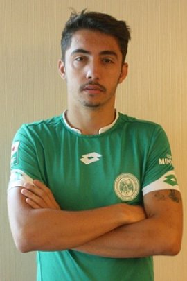 Razvan Gradinaru 2016-2017