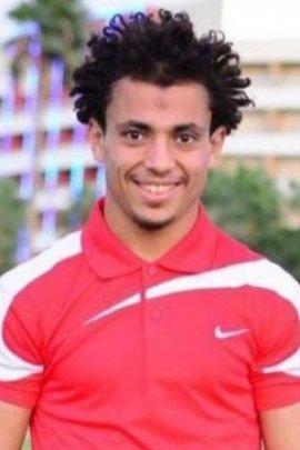 Ahmed Amer 2016-2017