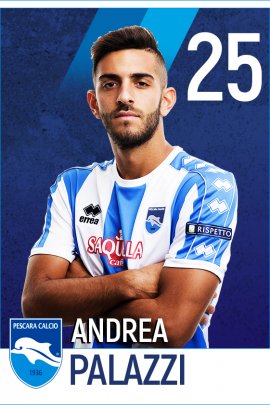 Andrea Palazzi 2017-2018