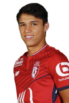  Luiz Araujo 2017-2018