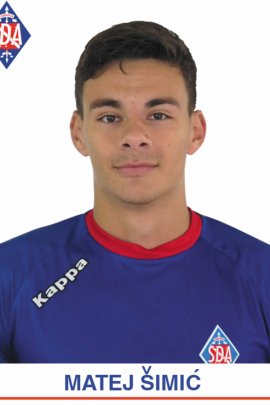 Matej Simić 2018-2019