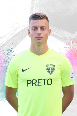 Michal Tomic 2018-2019