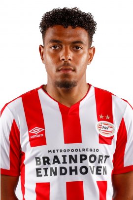 Donyell Malen 2019-2020