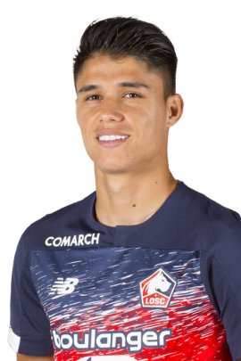 Luiz Araujo 2019-2020