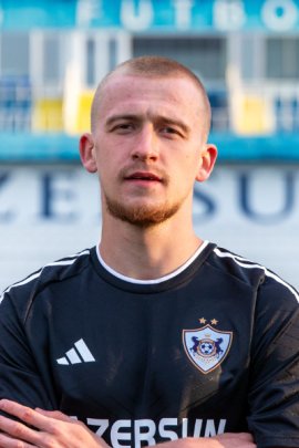 Aleksey Isaev 2024